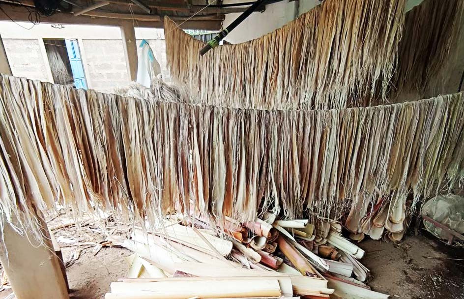4. Fibres sun-drying