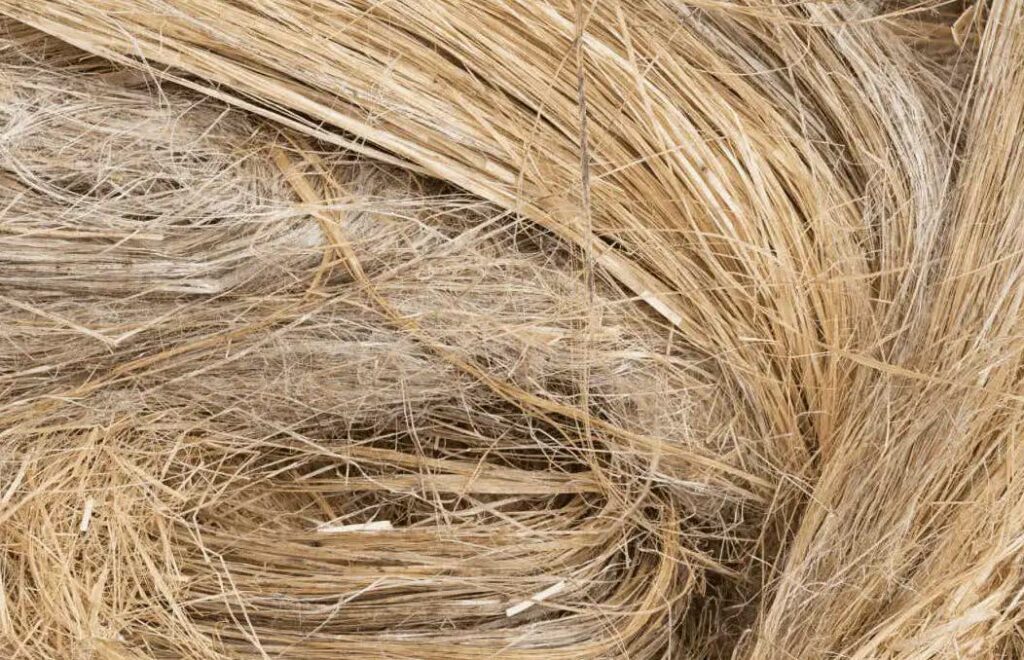 5. Fibres ready for craft